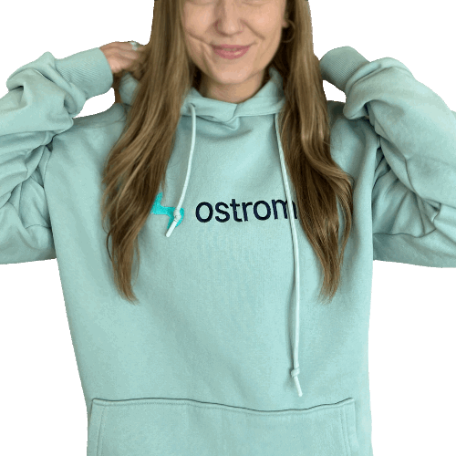Ostrom Hoodie (Unisex)