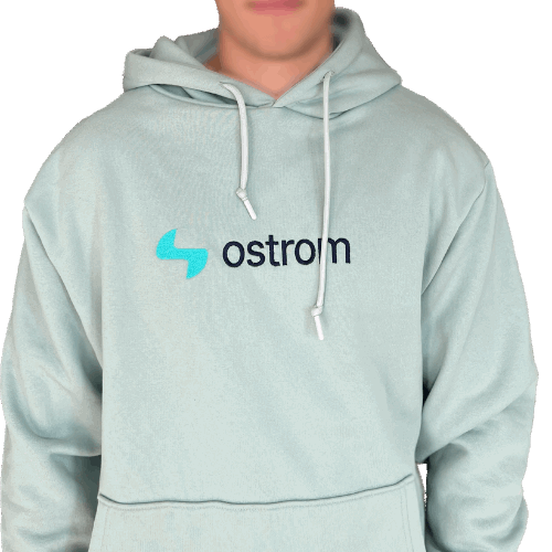 Ostrom Hoodie (Unisex)