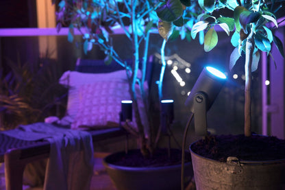 PHILIPS Hue White & Color Ambiance Lily Gartenspot