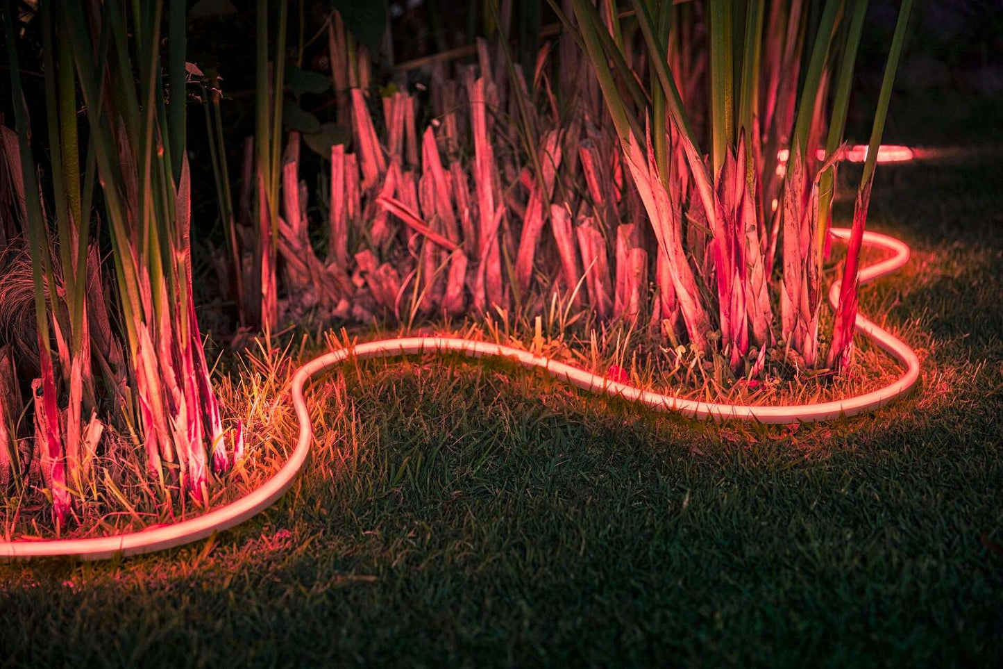 PHILIPS Hue White & Color Ambiance Outdoor Lightstrip 5 Meter