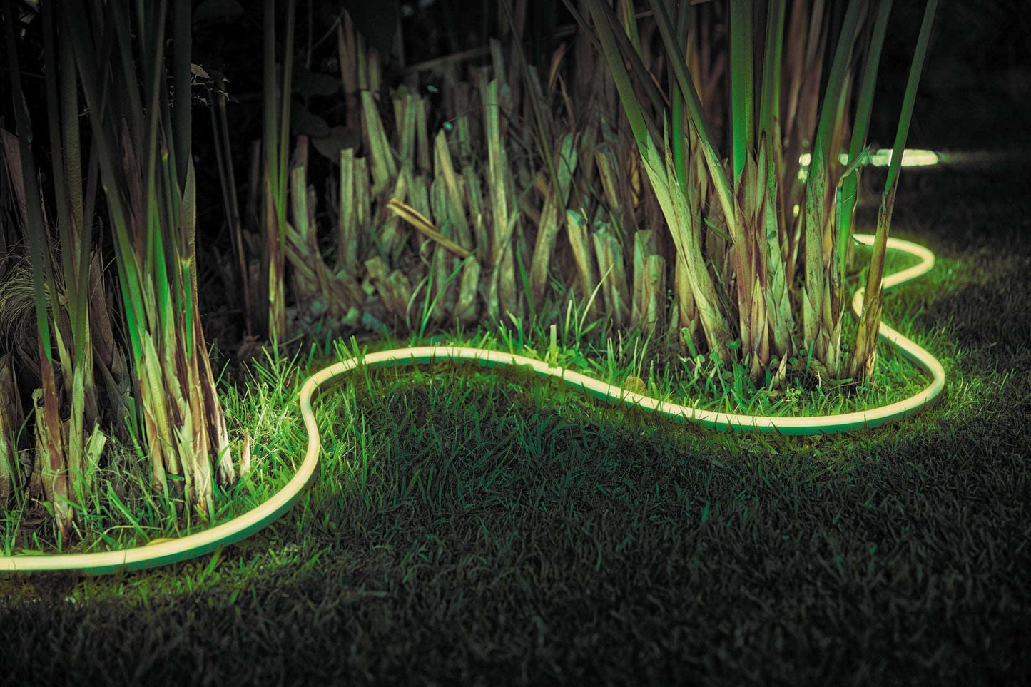 PHILIPS Hue White & Color Ambiance Outdoor Lightstrip 5 Meter