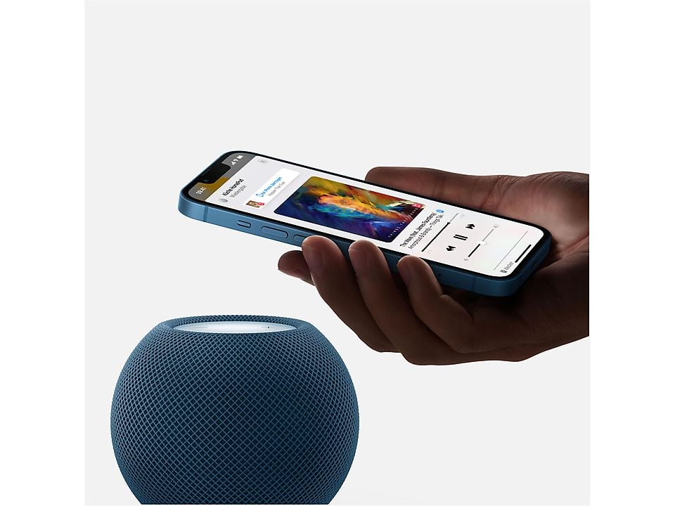 Apple HomePod mini (space gray)