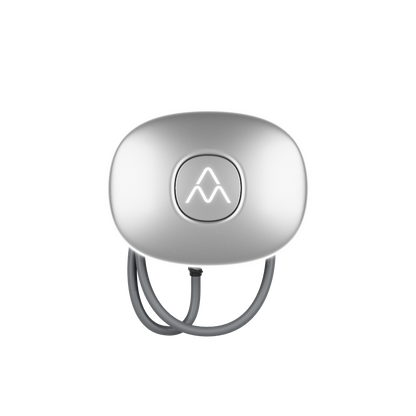 Charge Amps Halo 11kW - OCPP