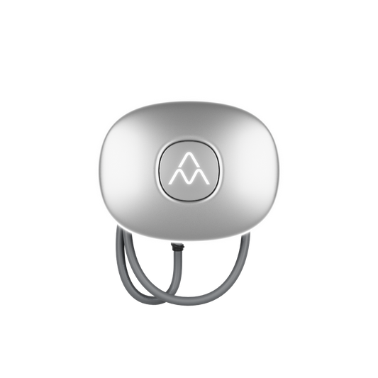 Charge Amps Halo 11kW - OCPP