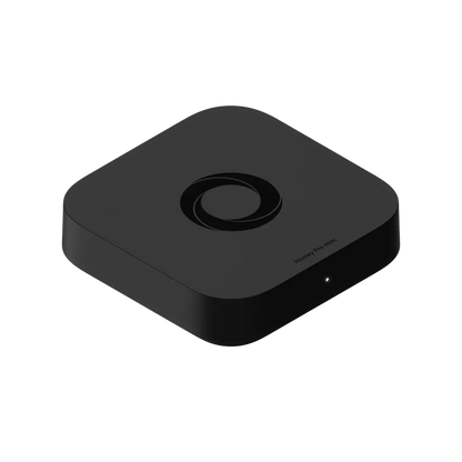 Homey Pro mini