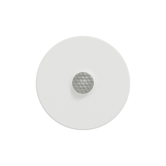 Wiser Motion Detector
